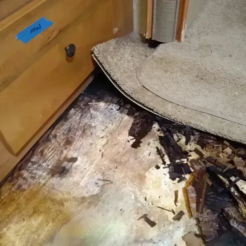 Best Wood Floor Water Damage Service in Bay Springs, MS